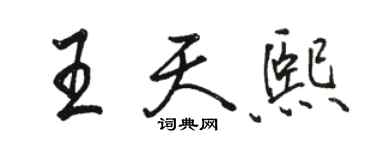 骆恒光王天熙行书个性签名怎么写