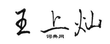 骆恒光王上灿行书个性签名怎么写