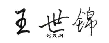 骆恒光王世锦行书个性签名怎么写