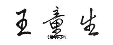 骆恒光王童生行书个性签名怎么写