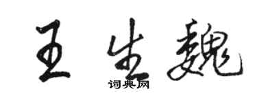骆恒光王生魏行书个性签名怎么写