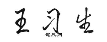 骆恒光王习生行书个性签名怎么写