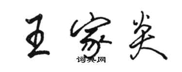 骆恒光王家炎行书个性签名怎么写