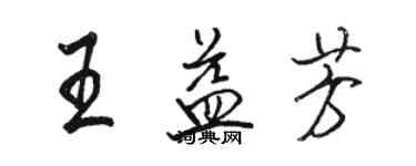 骆恒光王益芳行书个性签名怎么写