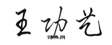 骆恒光王功艺行书个性签名怎么写