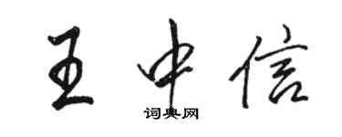 骆恒光王中信行书个性签名怎么写