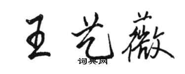 骆恒光王艺薇行书个性签名怎么写