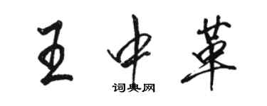 骆恒光王中革行书个性签名怎么写