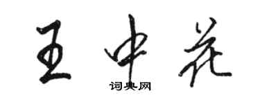 骆恒光王中花行书个性签名怎么写