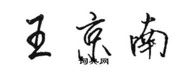 骆恒光王京南行书个性签名怎么写