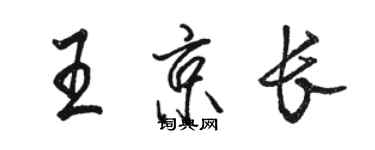 骆恒光王京长行书个性签名怎么写