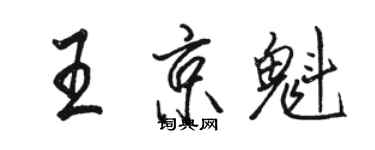 骆恒光王京魁行书个性签名怎么写