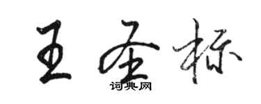 骆恒光王圣标行书个性签名怎么写