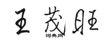 骆恒光王茂旺行书个性签名怎么写