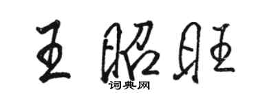骆恒光王昭旺行书个性签名怎么写