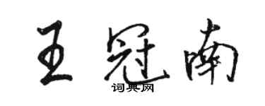 骆恒光王冠南行书个性签名怎么写
