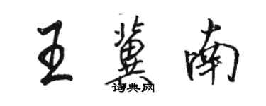 骆恒光王冀南行书个性签名怎么写