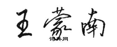 骆恒光王蒙南行书个性签名怎么写