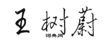 骆恒光王树蔚行书个性签名怎么写