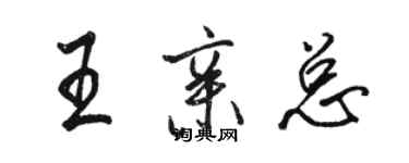 骆恒光王亲总行书个性签名怎么写