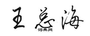 骆恒光王总海行书个性签名怎么写