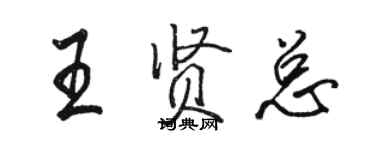 骆恒光王贤总行书个性签名怎么写