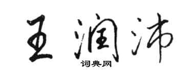 骆恒光王润沛行书个性签名怎么写