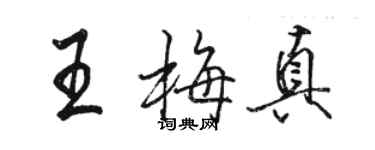 骆恒光王梅真行书个性签名怎么写