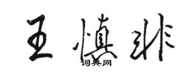 骆恒光王慎非行书个性签名怎么写