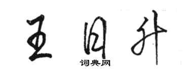 骆恒光王日升行书个性签名怎么写