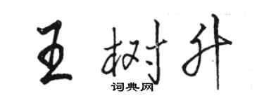 骆恒光王树升行书个性签名怎么写