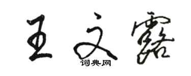 骆恒光王文露行书个性签名怎么写