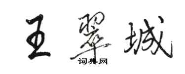 骆恒光王翠城行书个性签名怎么写