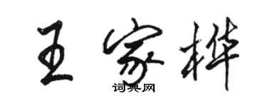 骆恒光王家桦行书个性签名怎么写
