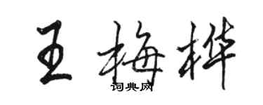 骆恒光王梅桦行书个性签名怎么写