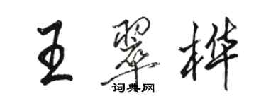 骆恒光王翠桦行书个性签名怎么写