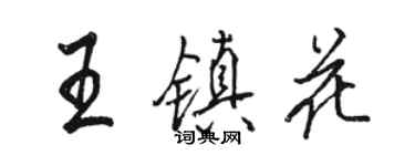 骆恒光王镇花行书个性签名怎么写