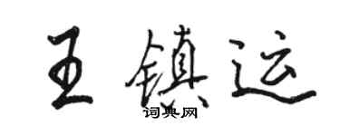 骆恒光王镇运行书个性签名怎么写