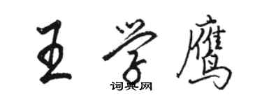 骆恒光王学鹰行书个性签名怎么写
