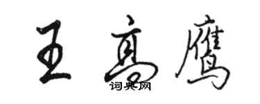 骆恒光王高鹰行书个性签名怎么写