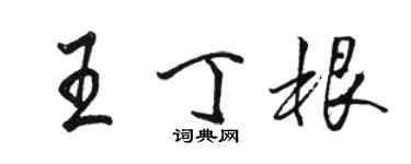 骆恒光王丁根行书个性签名怎么写