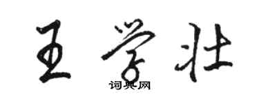 骆恒光王学壮行书个性签名怎么写