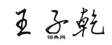 骆恒光王子乾行书个性签名怎么写