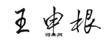 骆恒光王申根行书个性签名怎么写