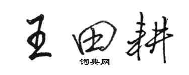 骆恒光王田耕行书个性签名怎么写