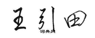 骆恒光王引田行书个性签名怎么写