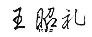 骆恒光王昭礼行书个性签名怎么写