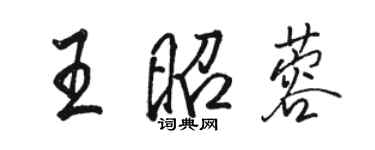骆恒光王昭蓉行书个性签名怎么写