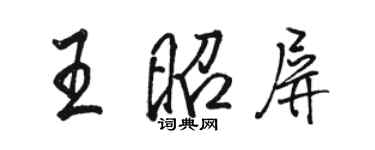 骆恒光王昭屏行书个性签名怎么写