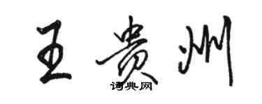 骆恒光王贵州行书个性签名怎么写